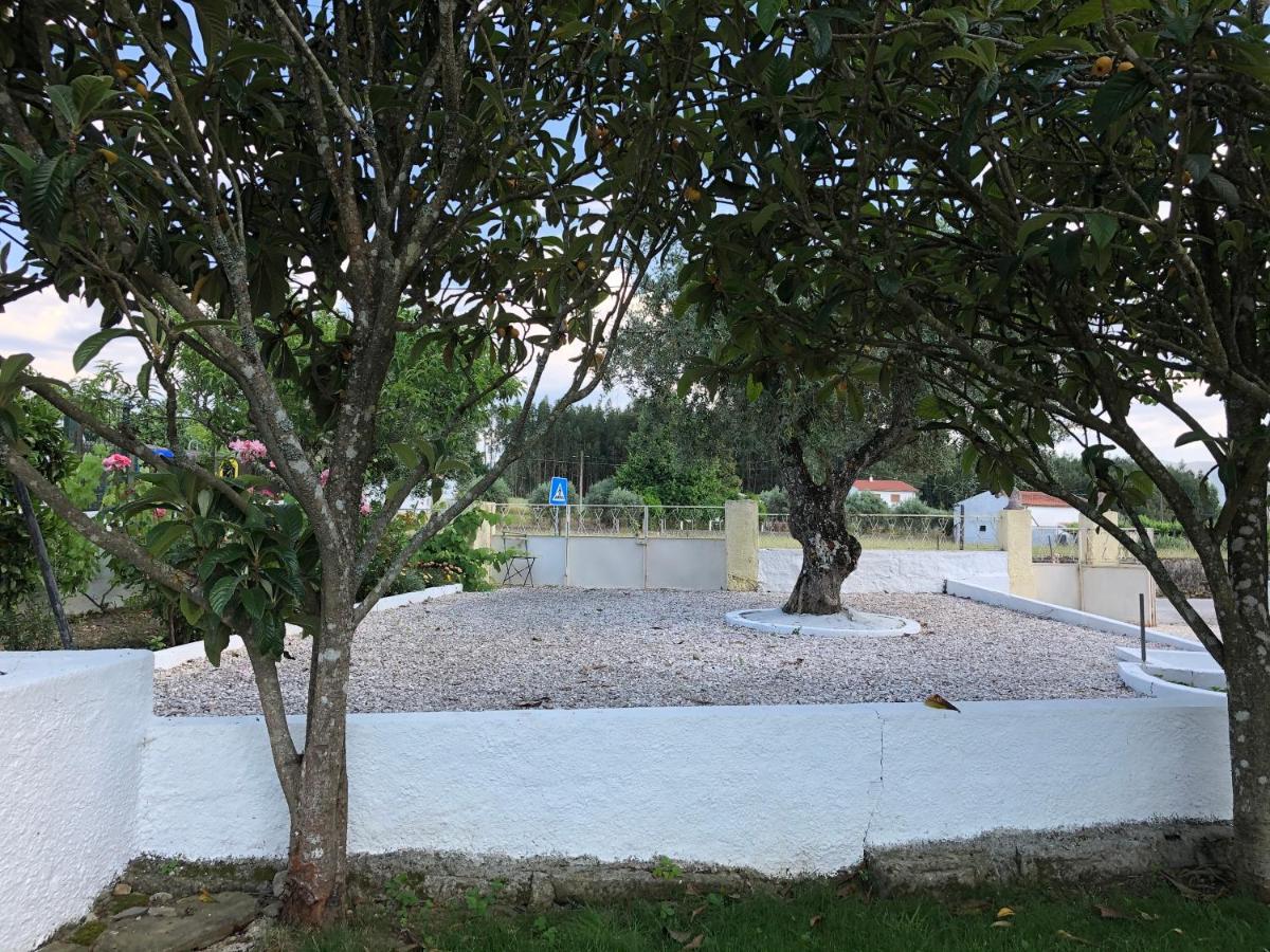 A Casa Amarela Apartman Pinheiro de Coja Kültér fotó